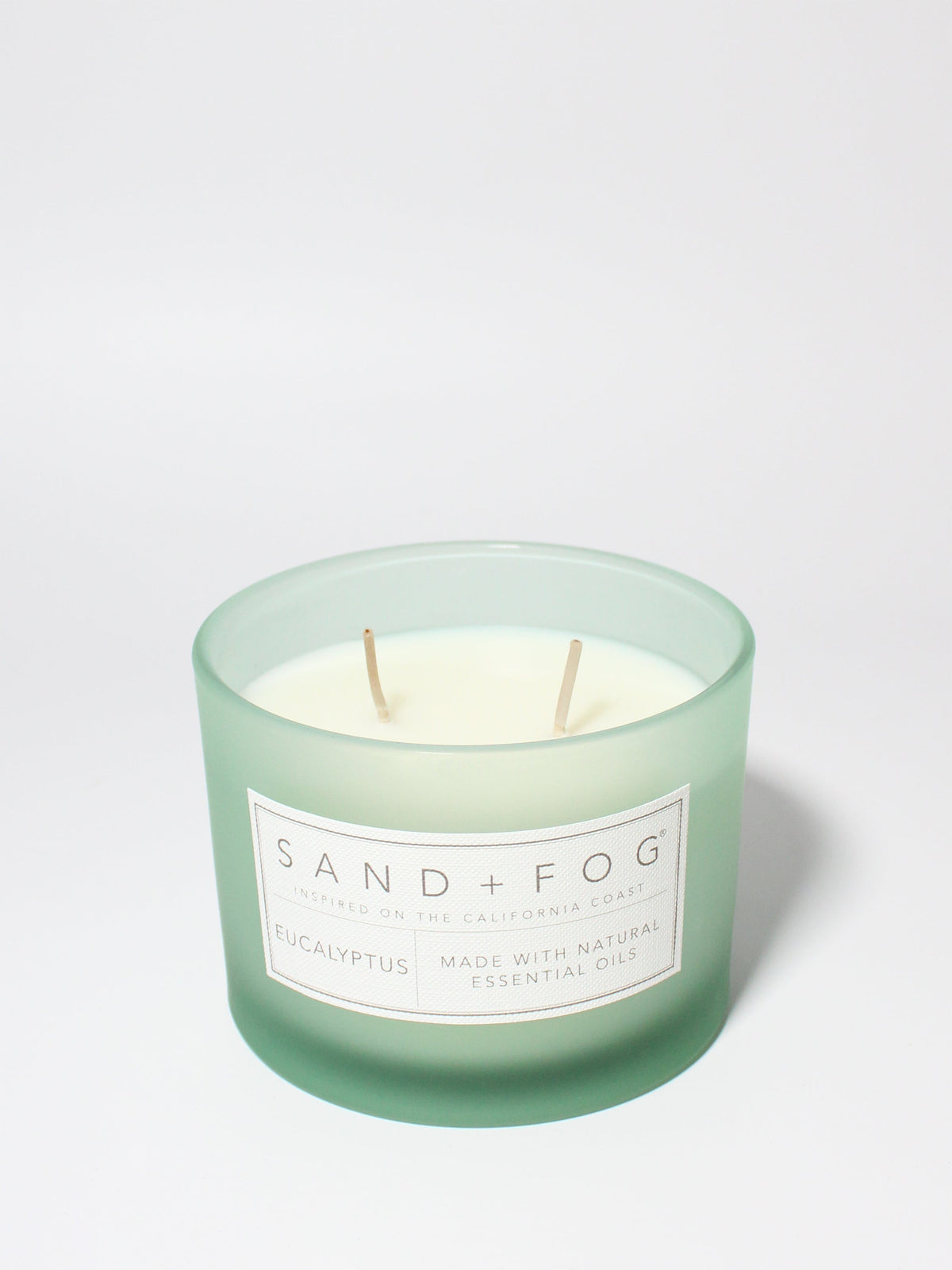Premium Cozy Eucalyptus 12 oz scented candle