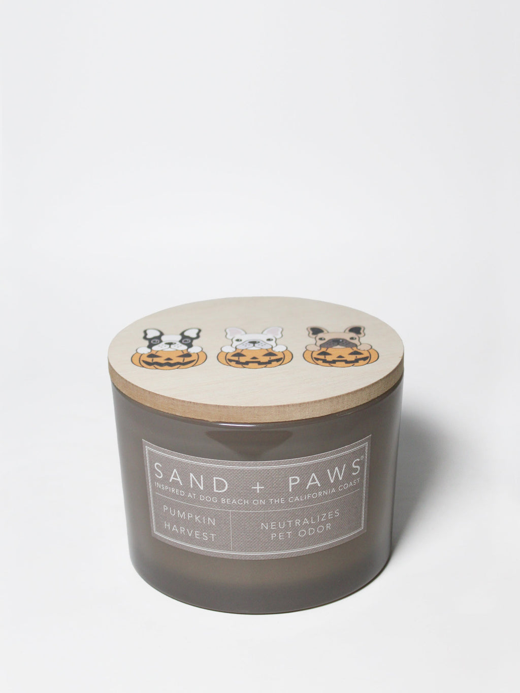 Premium Cozy Sand + Paws Pumpkin Harvest 12 oz scented candle