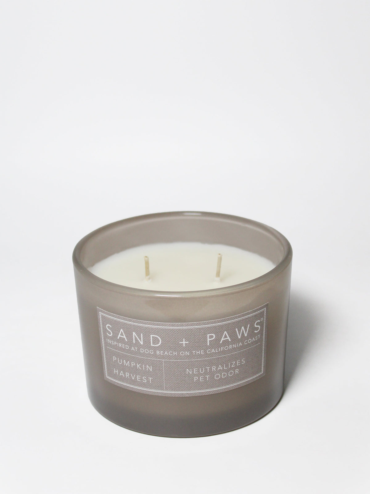 Premium Cozy Sand + Paws Pumpkin Harvest 12 oz scented candle