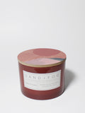 Premium Cozy Sun-n-Fun 12 oz scented candle