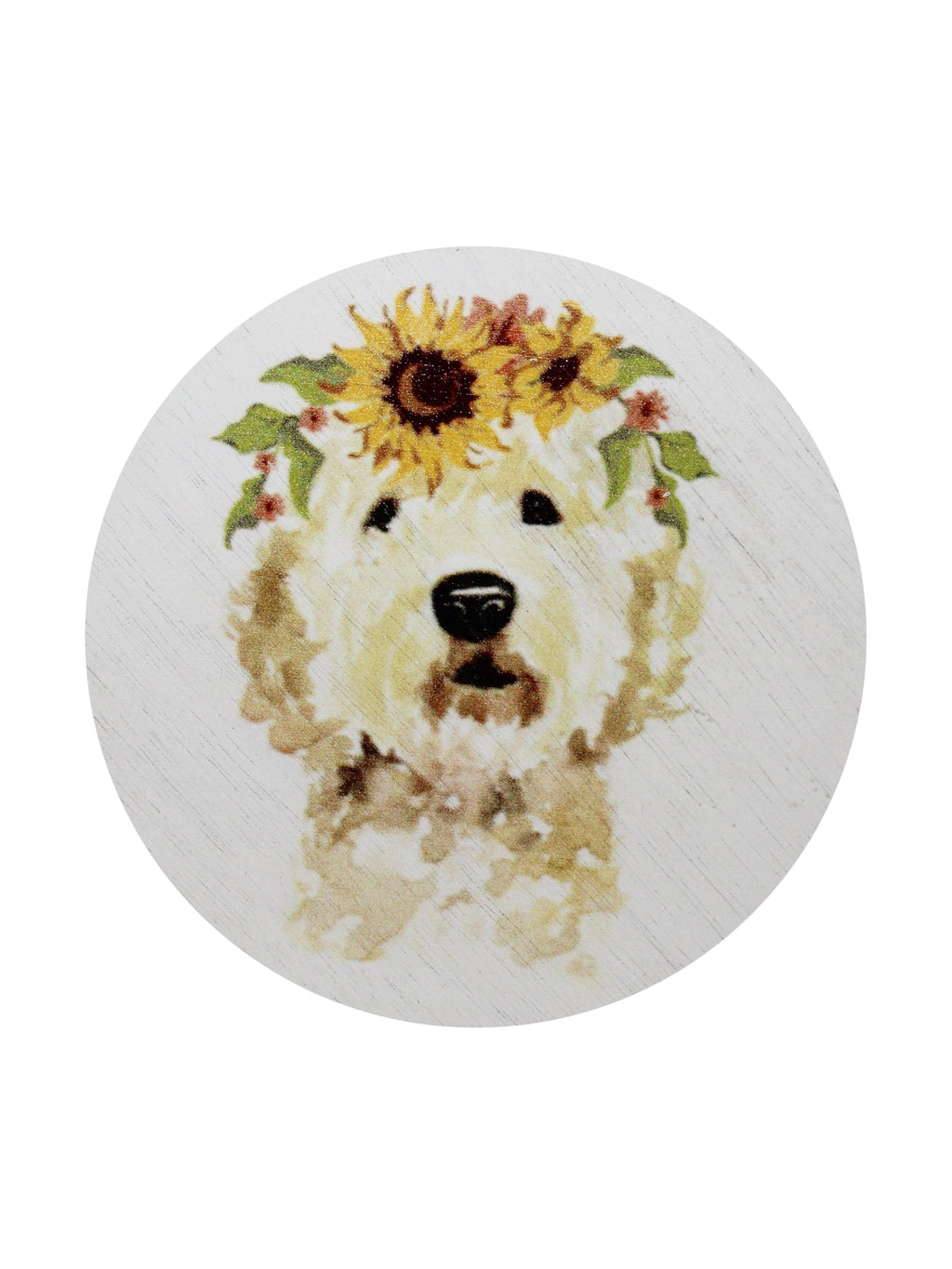 Premium Cozy Sand + Paws Mango Tangerine 12 oz scented candle