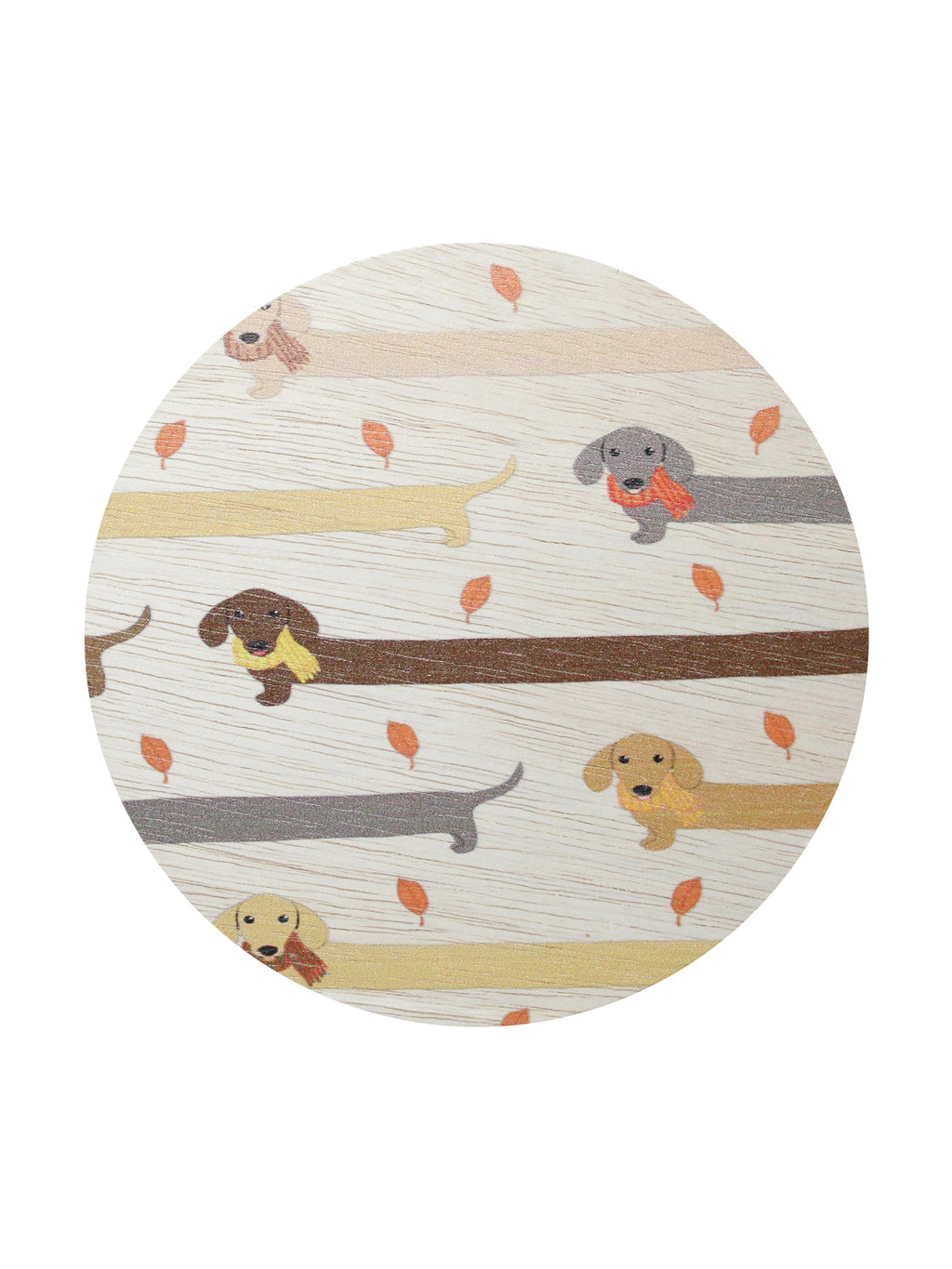 Premium Cozy Sand + Paws Apple Cider 12 oz scented candle