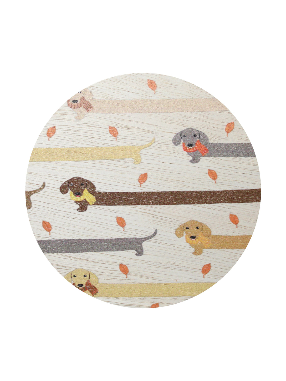 Premium Cozy Sand + Paws Apple Cider 12 oz scented candle