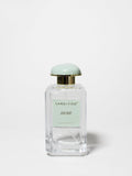 Alluring Elegant Dune 100 ml Eau de Toilette