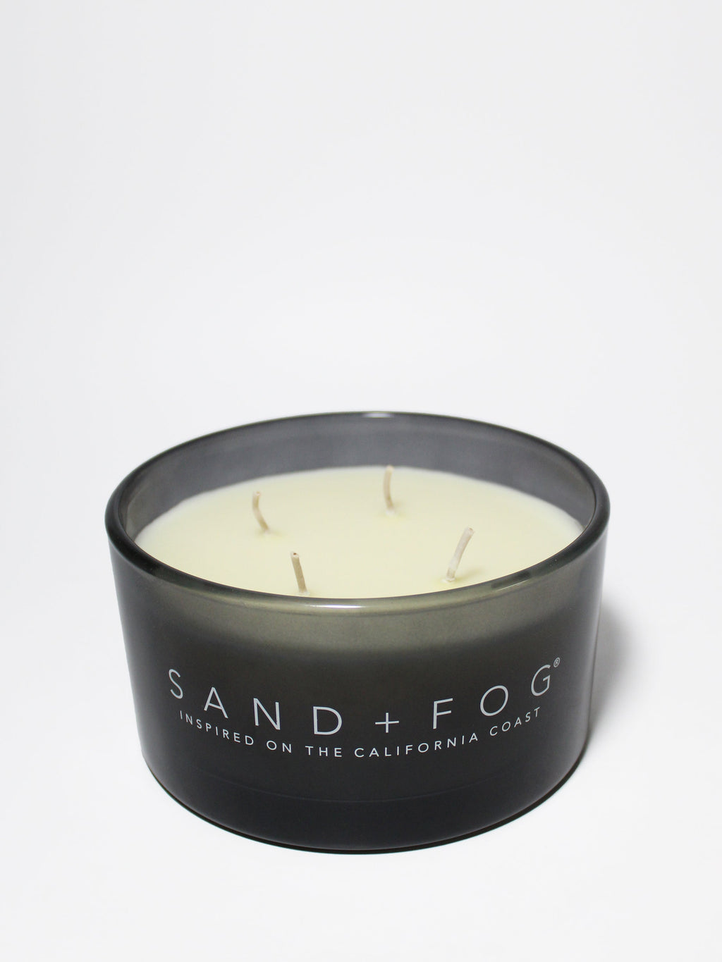 Premium Cozy Fern & Moss 23 oz scented candle