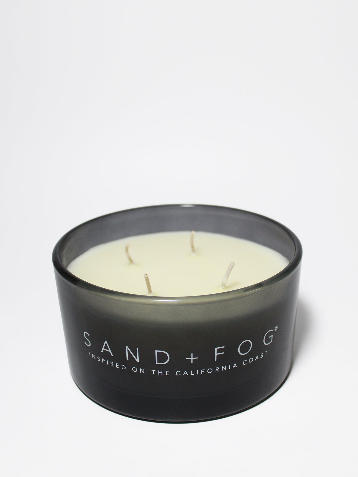 Premium Cozy Fern & Moss 23 oz scented candle