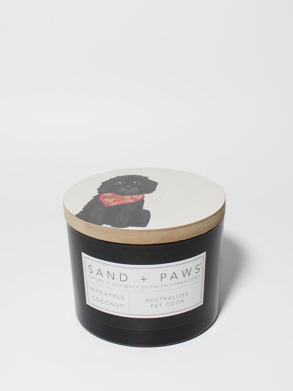 Premium Cozy Sand + Paws Pineapple Coconut 12 oz scented candle