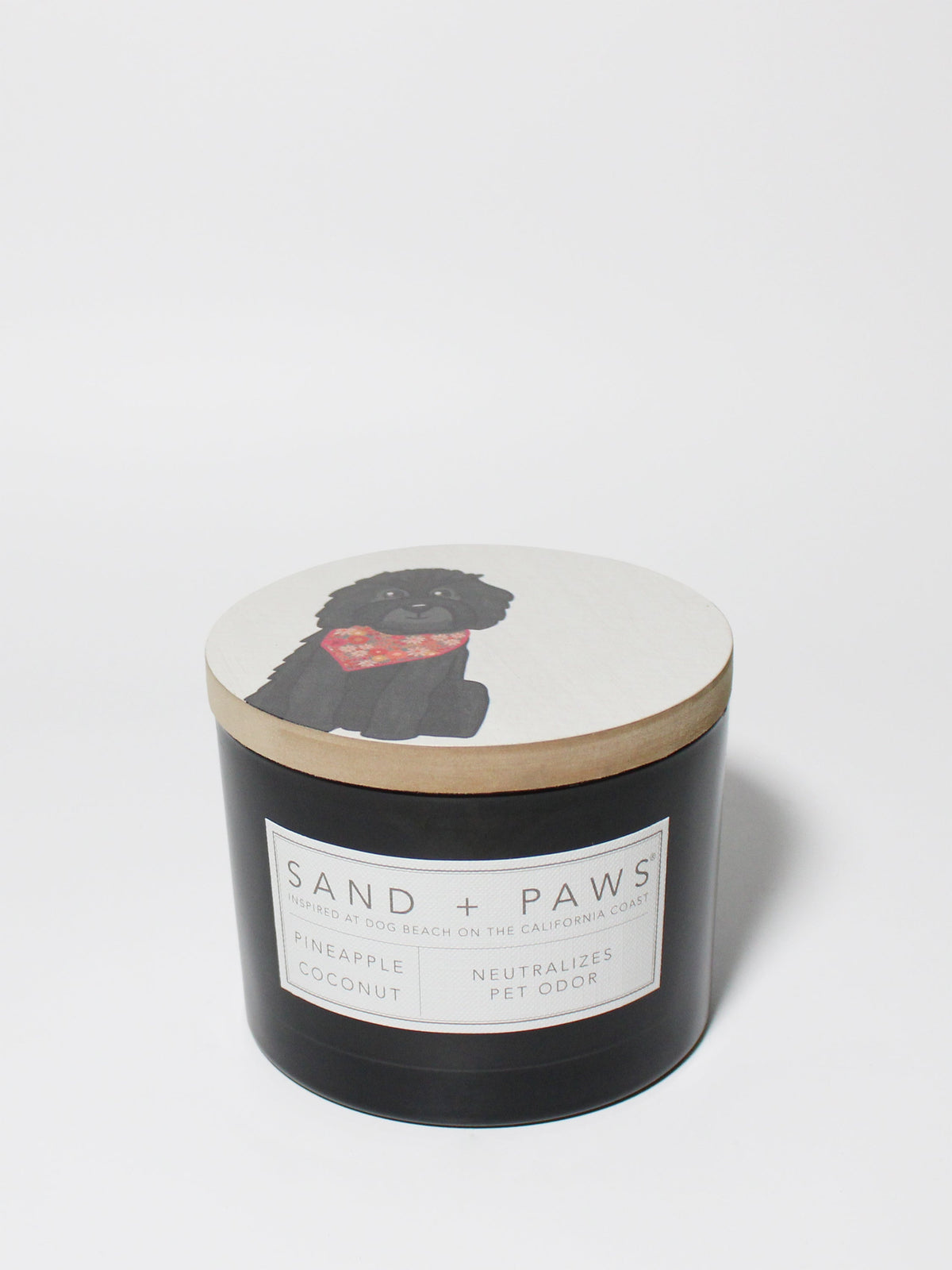 Premium Cozy Sand + Paws Pineapple Coconut 12 oz scented candle