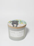 Premium Cozy Sand + Paws Tropical Citrus 12 oz scented candle