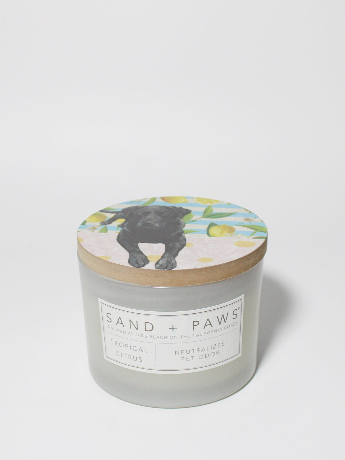 Premium Cozy Sand + Paws Tropical Citrus 12 oz scented candle