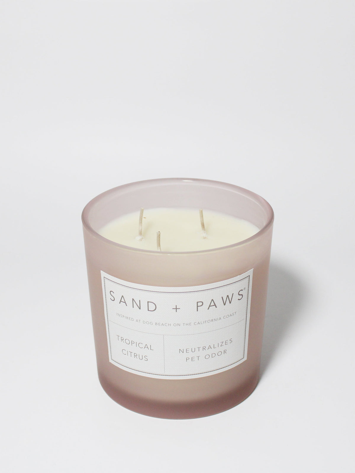 Premium Cozy Sand + Paws Tropical Citrus 21 oz scented candle