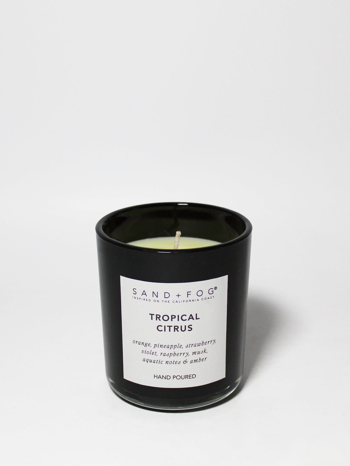 Premium Cozy Tropical Citrus 10 oz scented candle