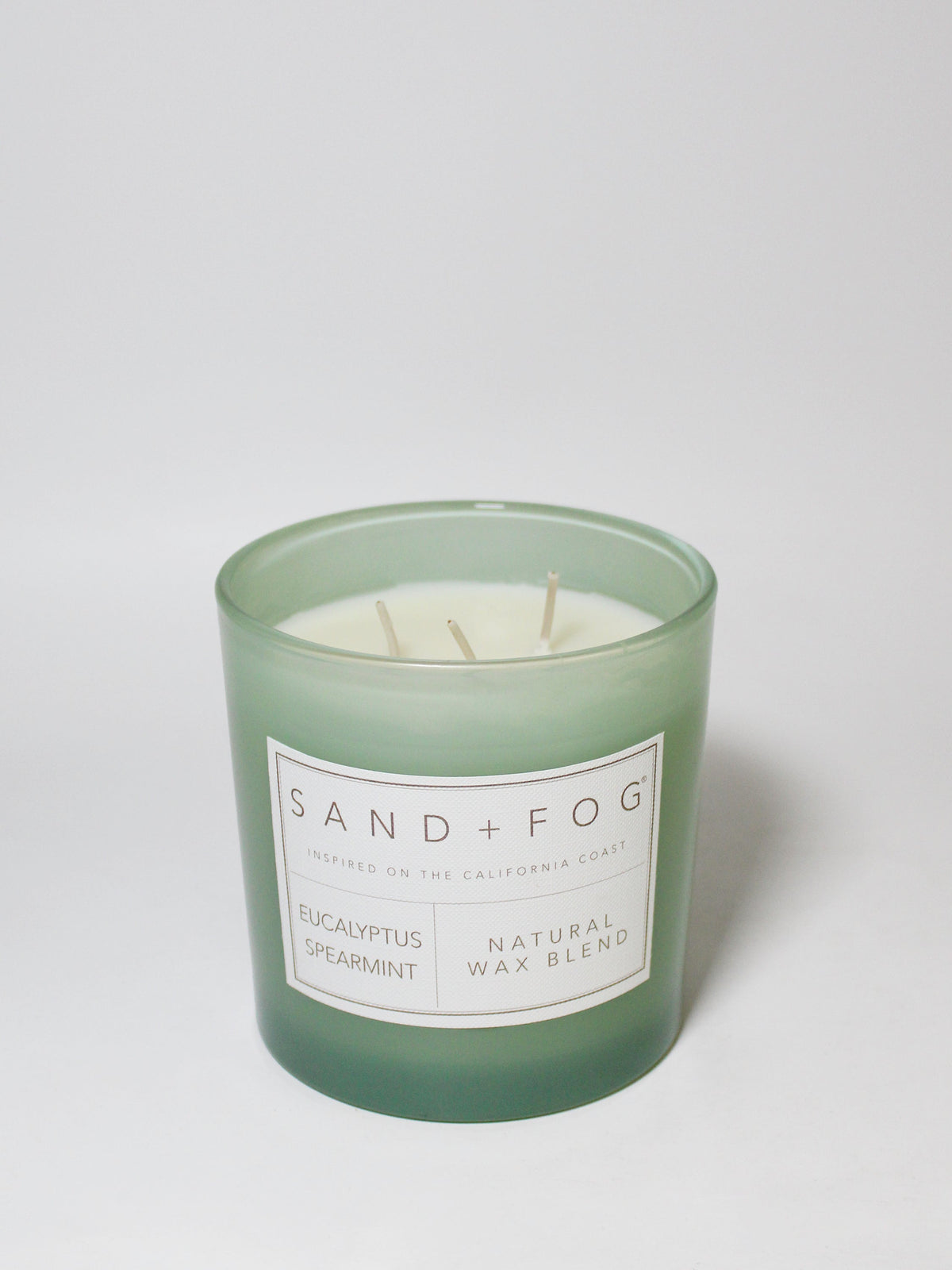 Premium Cozy Eucalyptus Spearmint 21 oz scented candle