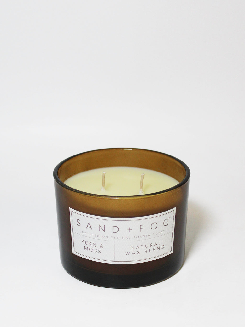 Premium Cozy Fern & Moss 12 oz scented candle