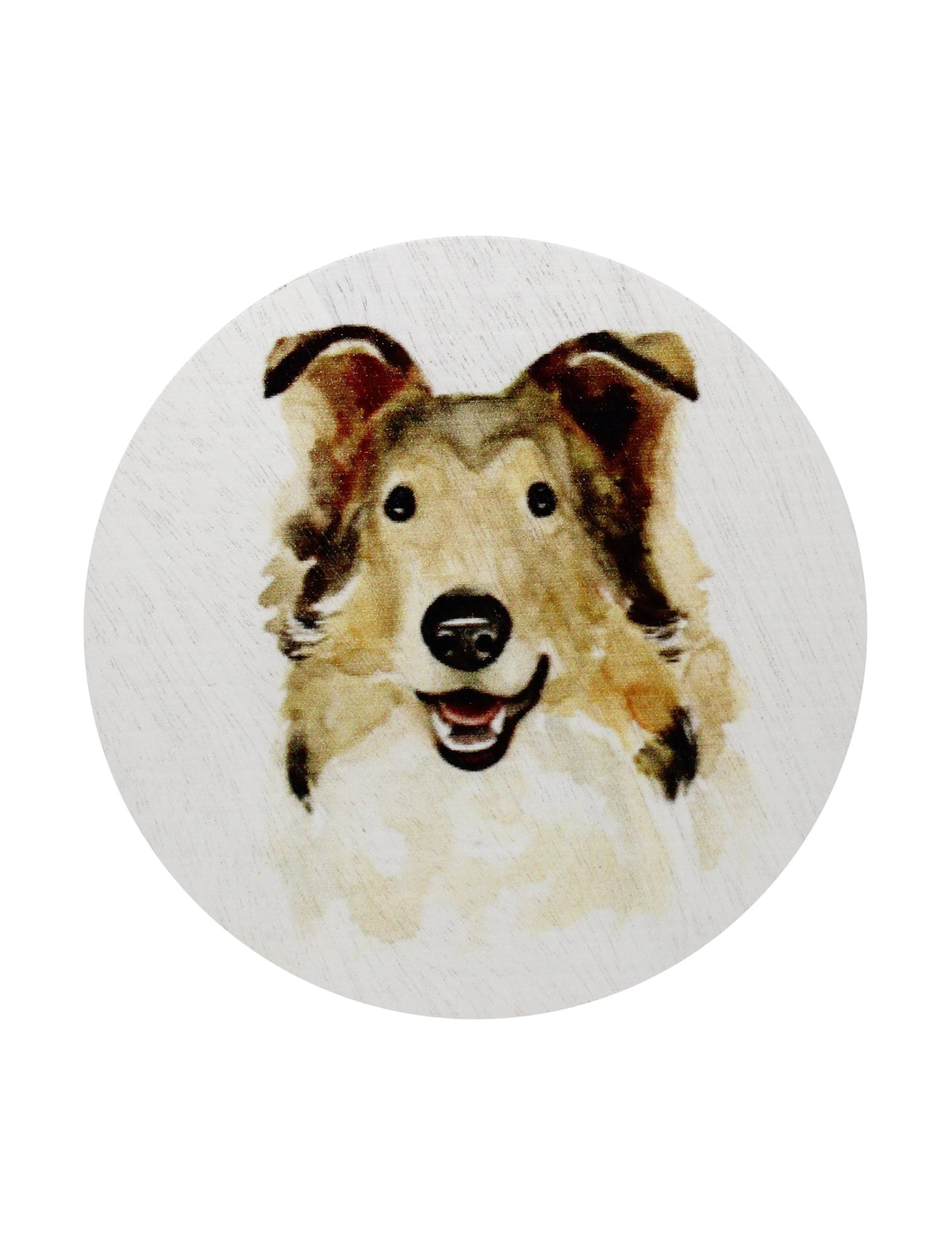 Premium Cozy Sand + Paws Desert Rain 12 oz scented candle