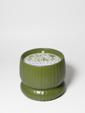 Premium Cozy Olive & Lemon 10 oz scented candle