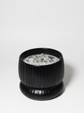 Premium Cozy Speakeasy 10 oz scented candle