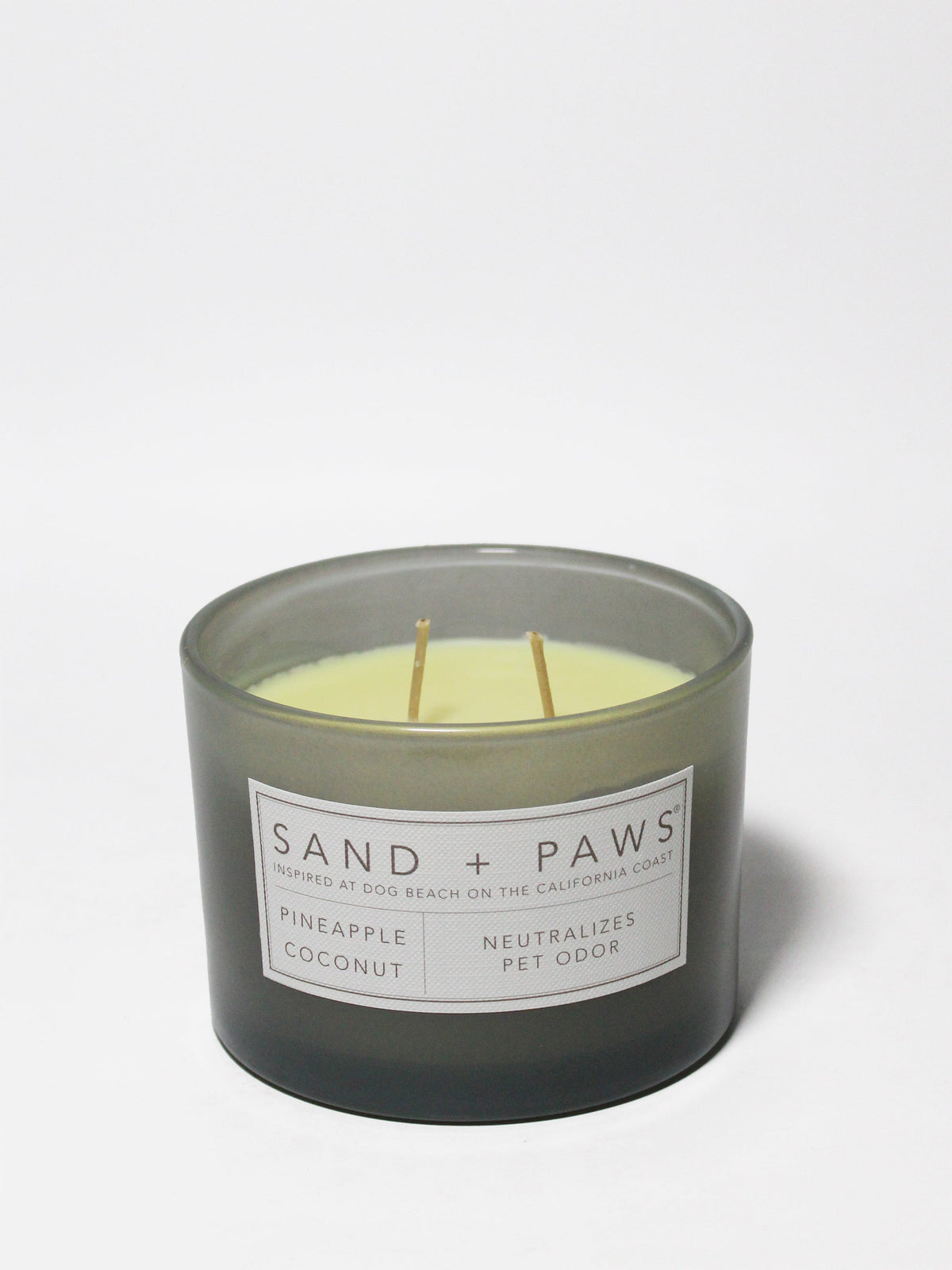 Premium Cozy Sand + Paws Pineapple Coconut 12 oz scented candle