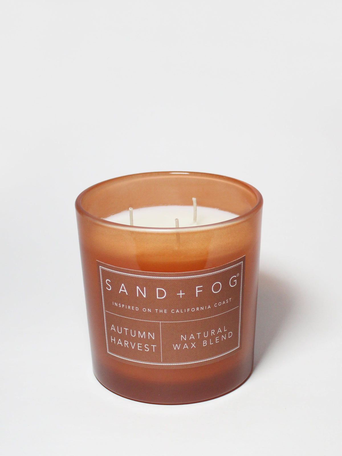 Premium Cozy Autumn Harvest 21 oz scented candle