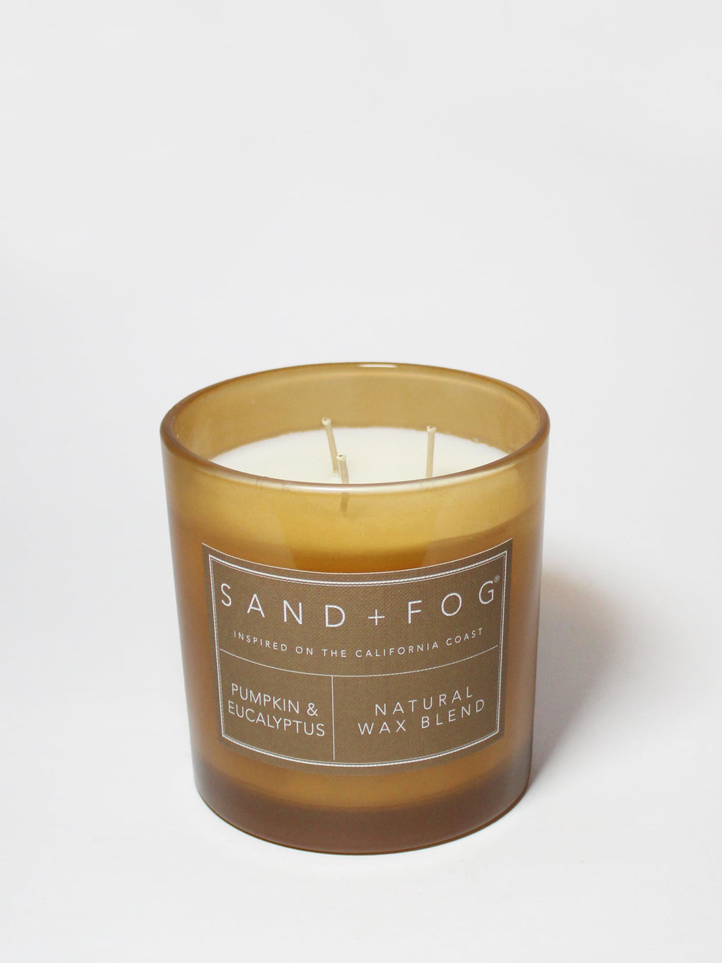 Premium Cozy Pumpkin & Eucalyptus 21 oz scented candle