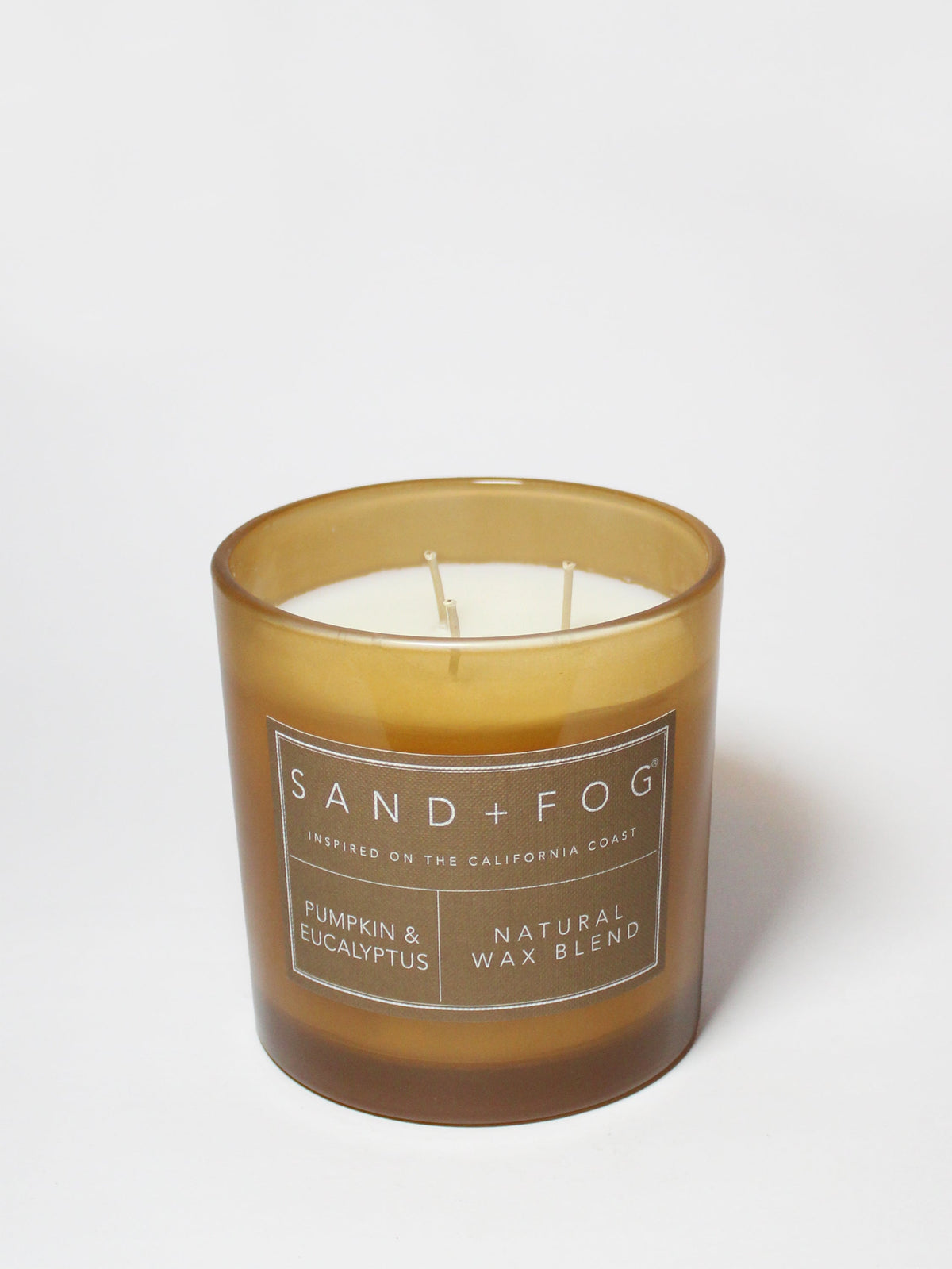 Premium Cozy Pumpkin & Eucalyptus 21 oz scented candle