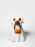 Premium Cozy Sand + Paws Jack-o'-Lantern 11 oz scented candle
