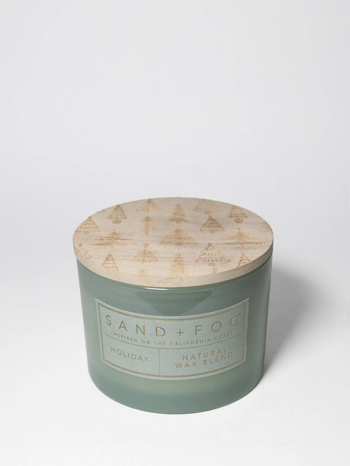 Premium Cozy Holiday 12 oz scented candle