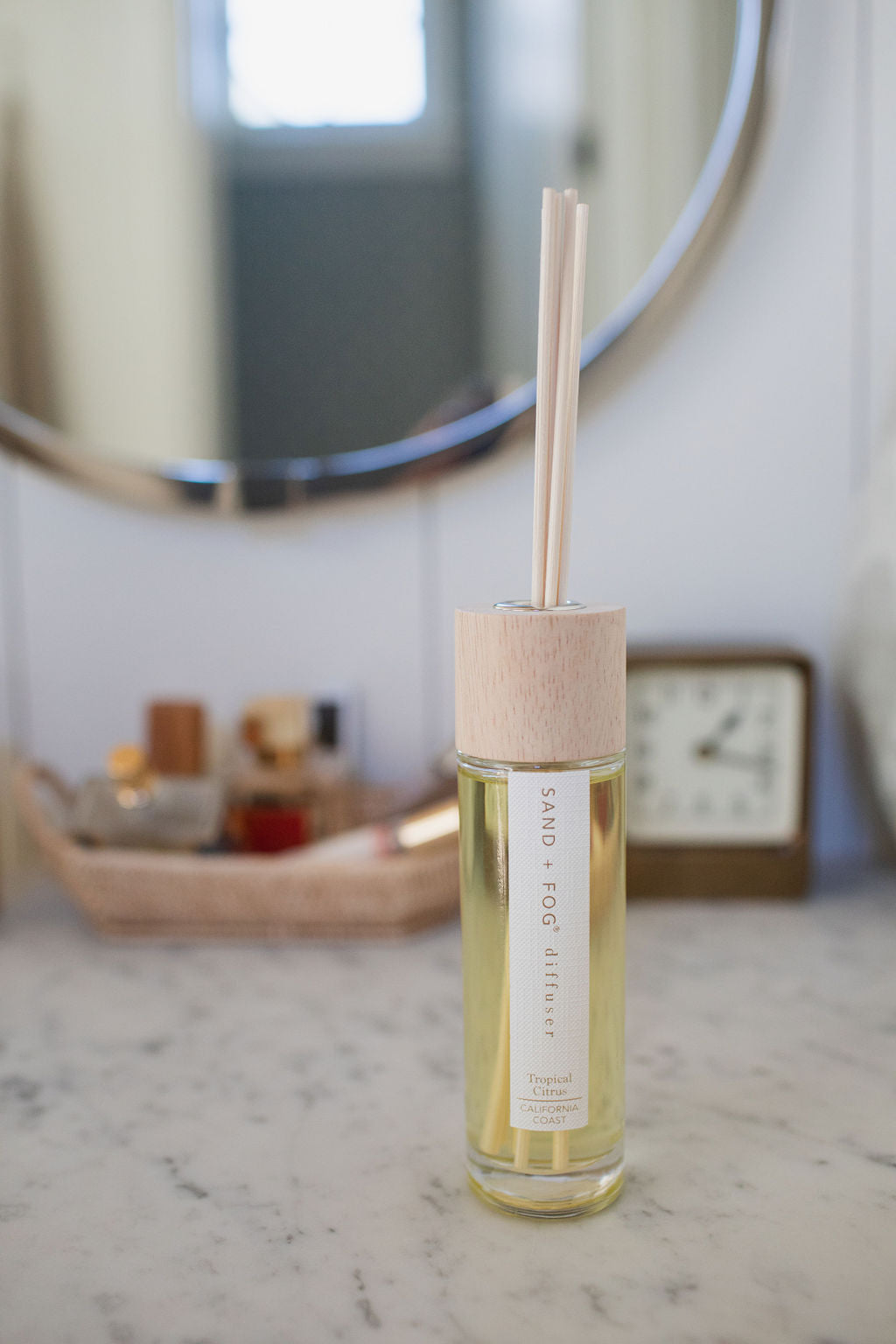Elegant Aromatic Tropical Citrus 100 ml Reed Diffuser