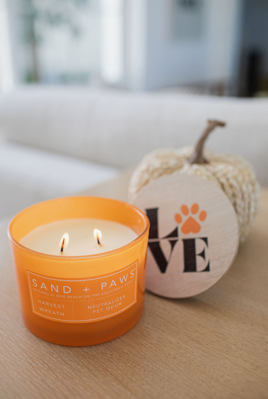 Premium Cozy Sand + Paws Harvest Wreath 12 oz scented candle