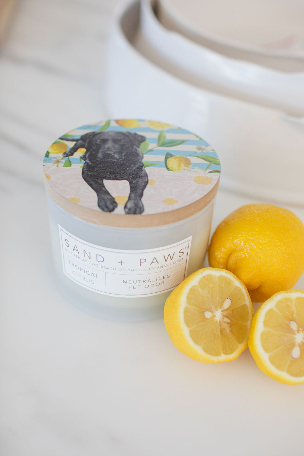 Premium Cozy Sand + Paws Tropical Citrus 12 oz scented candle