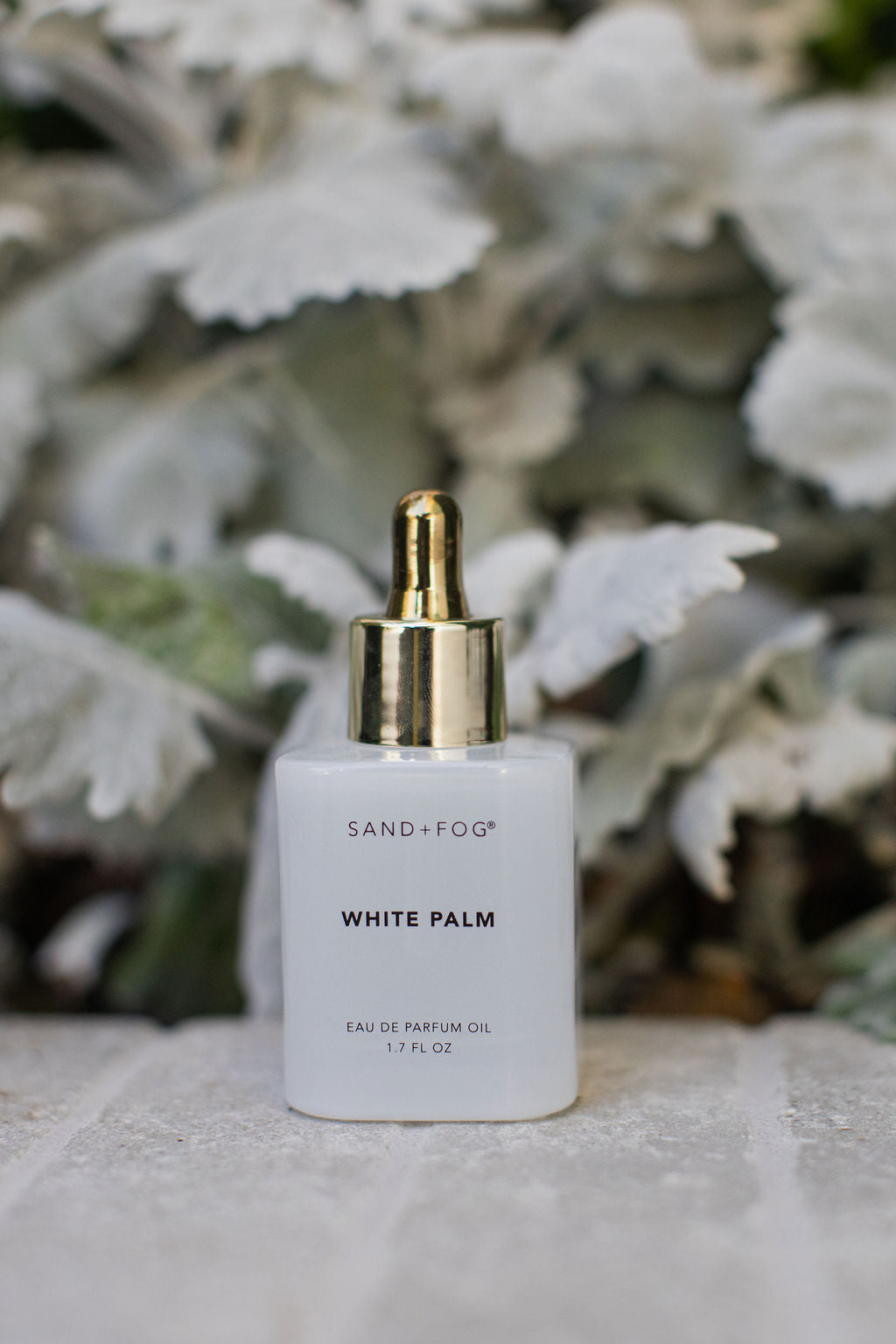 Exquisite Signature White Palm 50 ml Perfume Oil Dropper