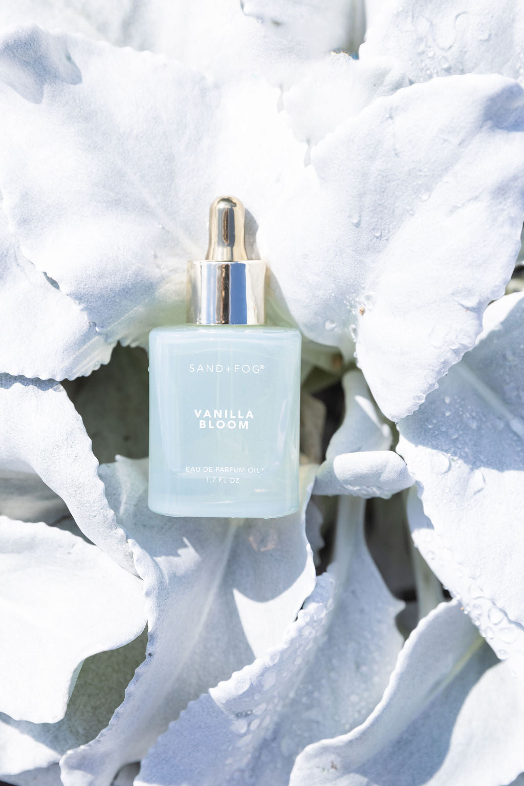 Exquisite Signature Vanilla Bloom 50 ml Perfume Oil Dropper