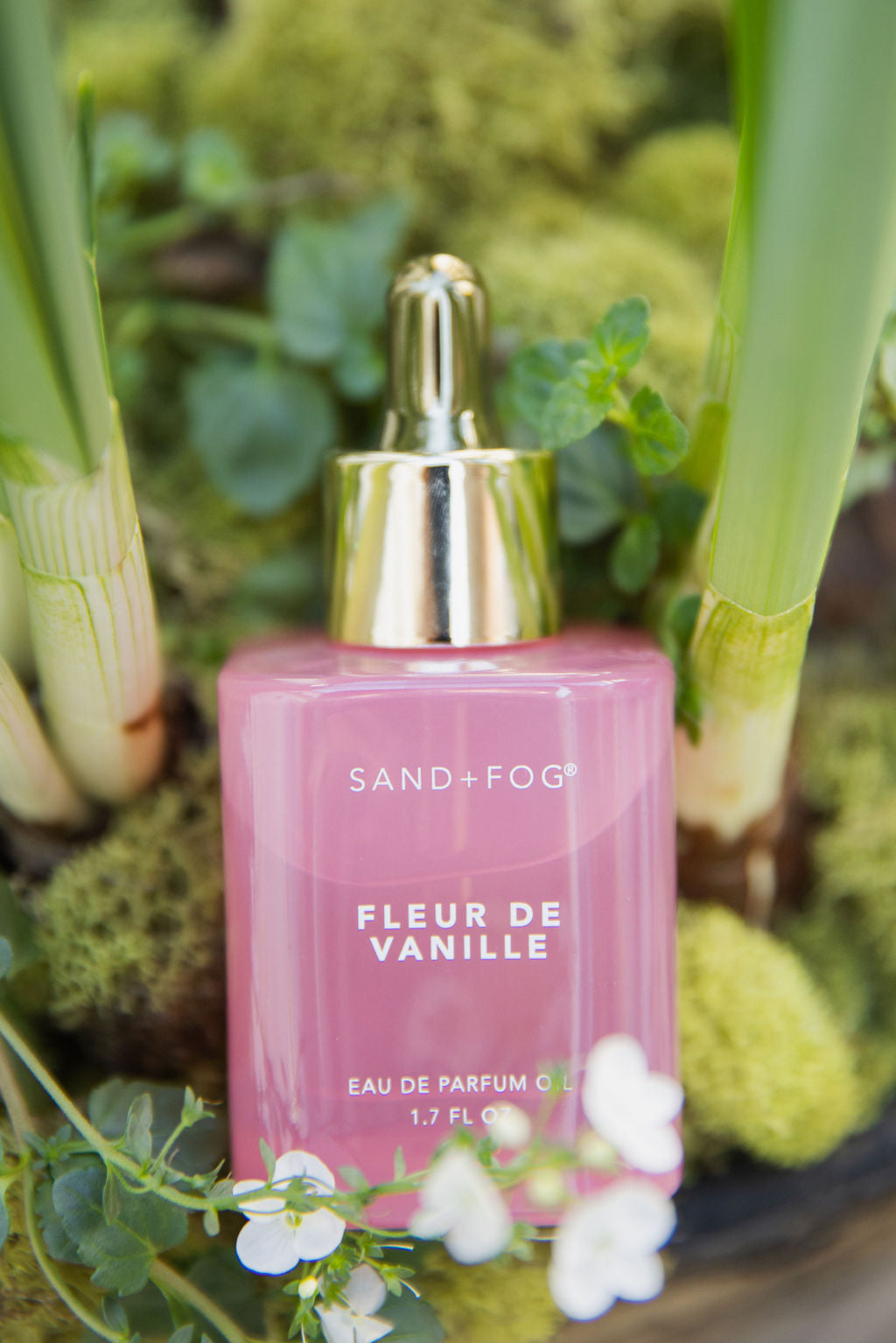 Exquisite Signature Fleur de Vanille 50 ml Perfume Oil Dropper