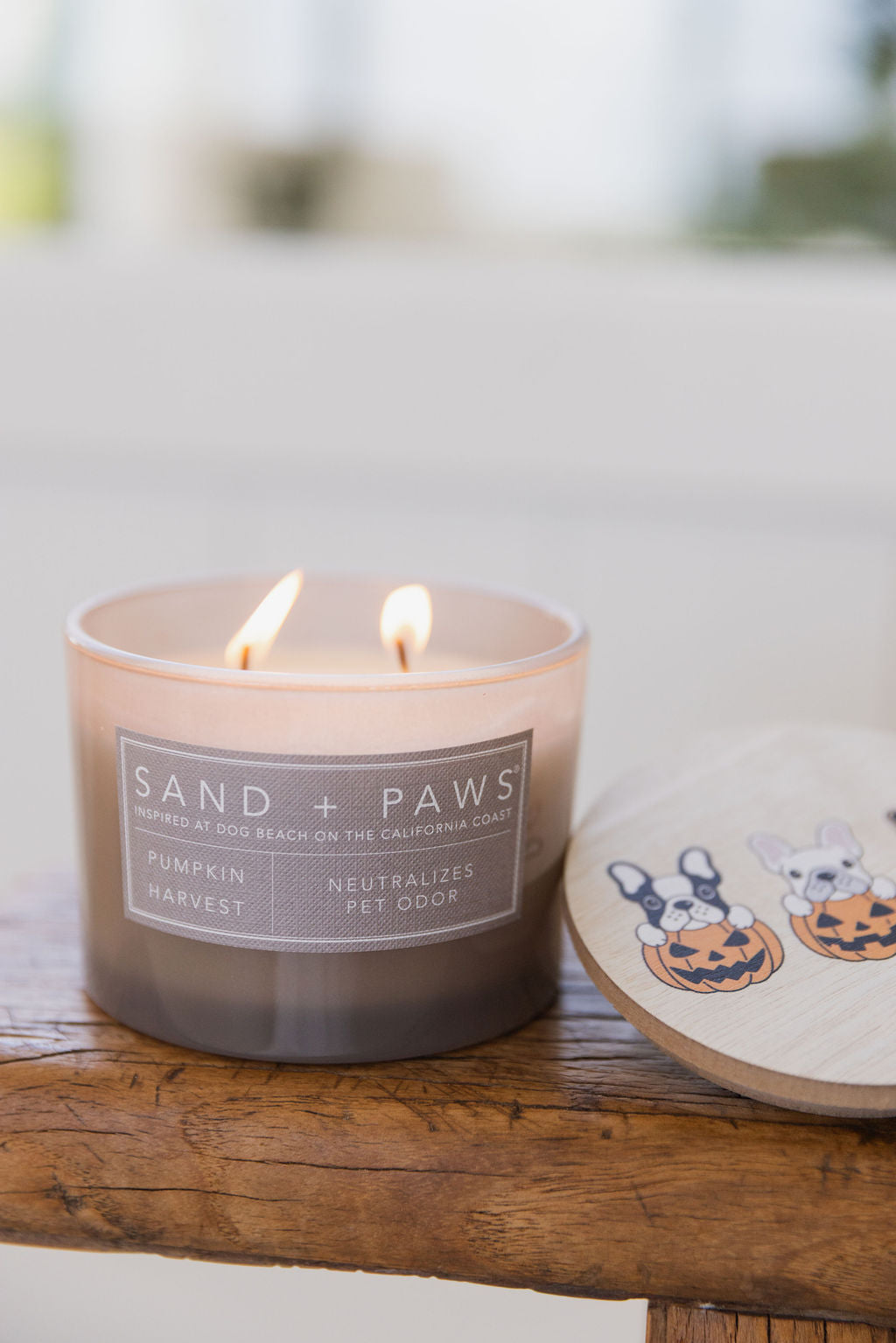 Premium Cozy Sand + Paws Pumpkin Harvest 12 oz scented candle