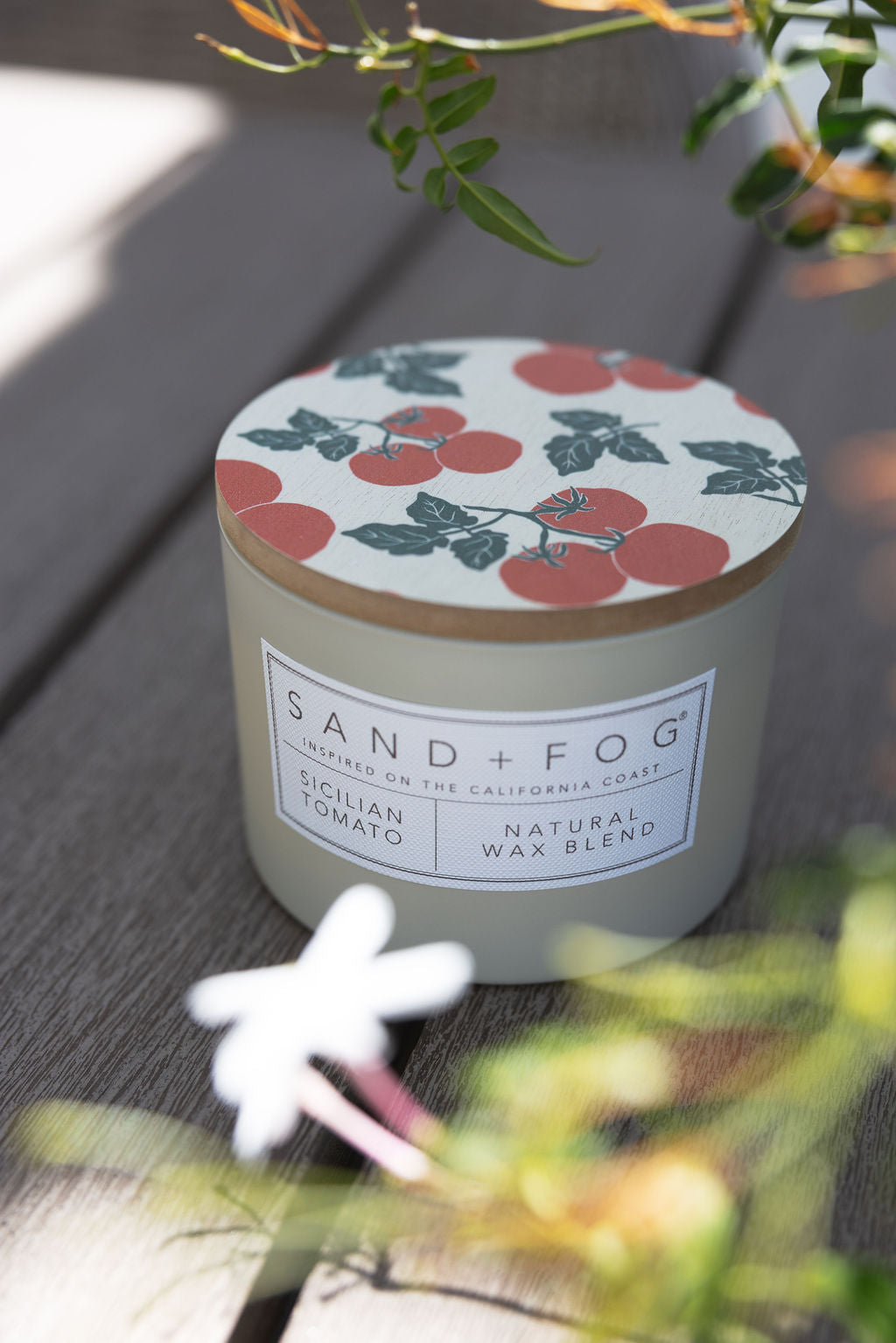Premium Cozy Sicilian Tomato 12 oz scented candle