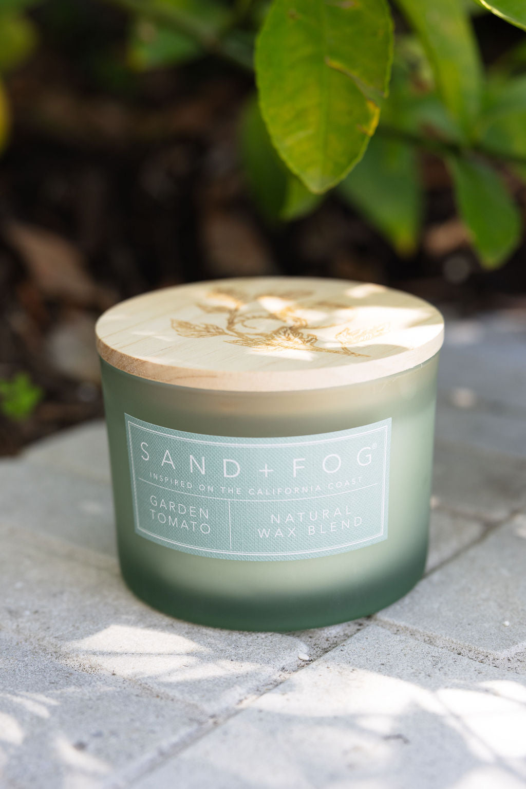 Premium Cozy Garden Tomato 12 oz scented candle