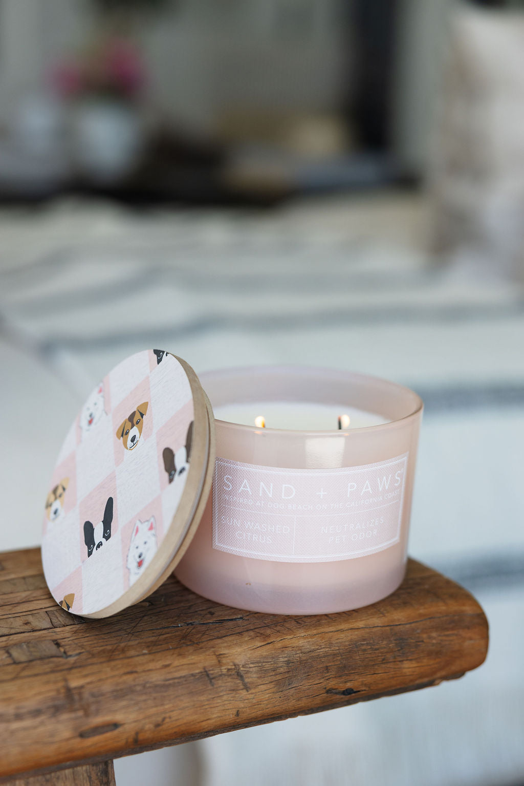Premium Cozy Sand + Paws Sun Washed Citrus 12 oz scented candle
