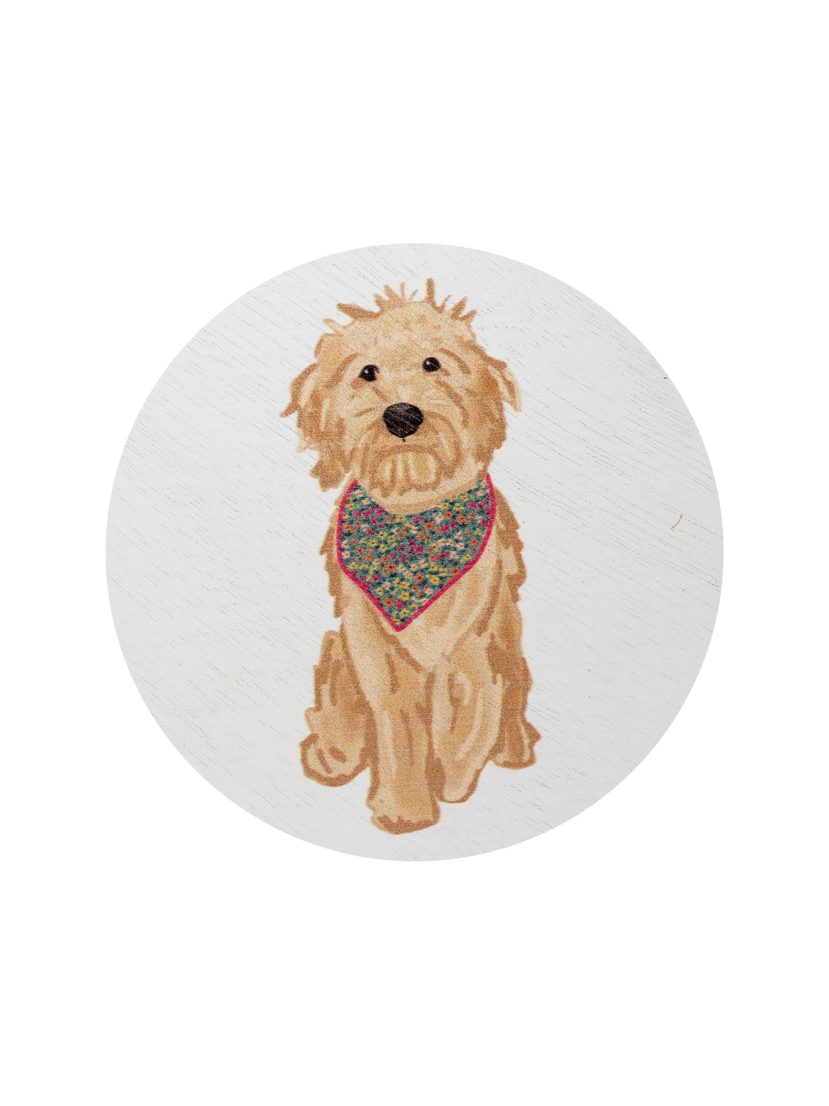 Premium Cozy Sand + Paws Laundry Day 12 oz scented candle
