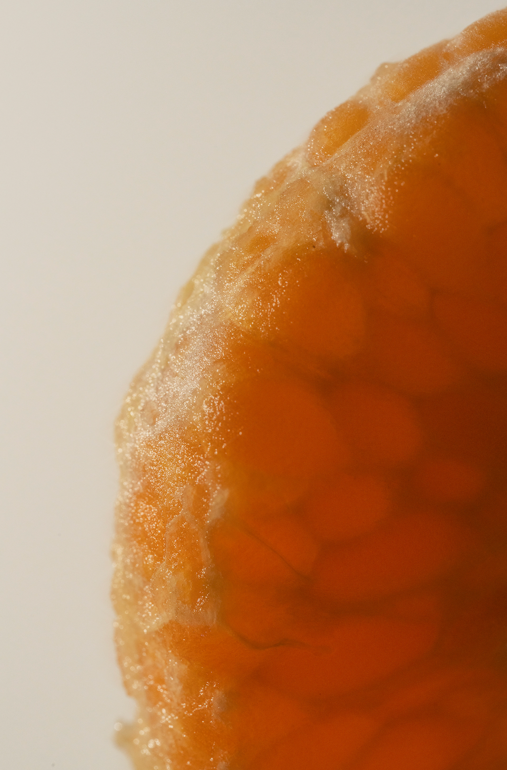 Alluring Elegant Citrus Blossom 70 ml Eau de Toilette