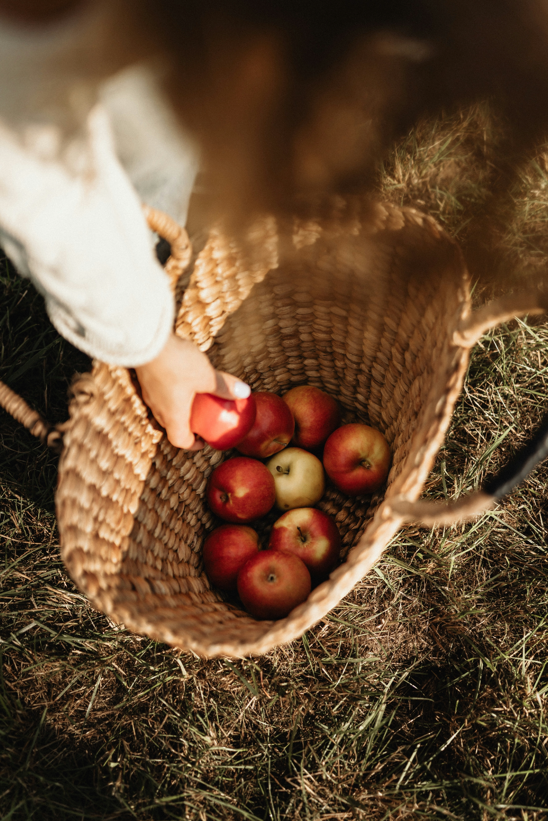 Premium Cozy Apple Picking 12 oz scented candle