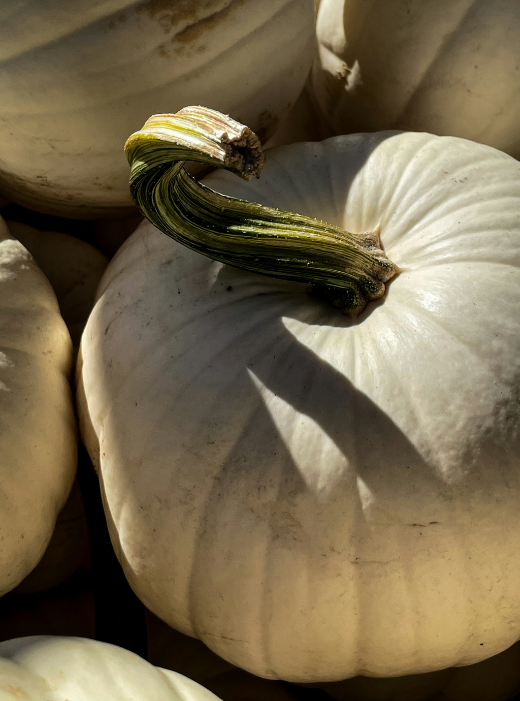 Revitalizing Aromatic White Pumpkin 100 ml Room Spray