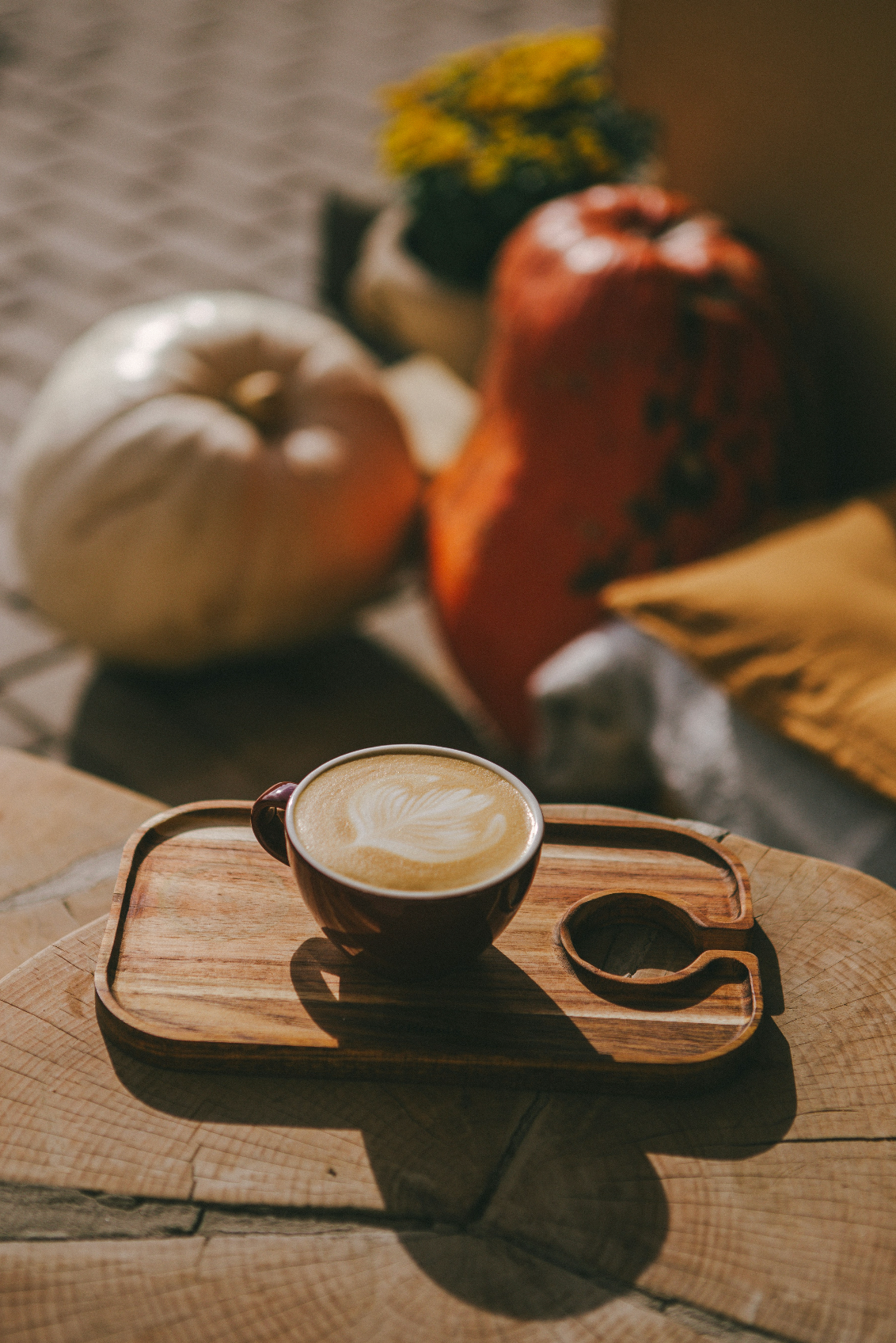 Premium Cozy Sand + Paws Pumpkin Soy Latte 12 oz scented candle
