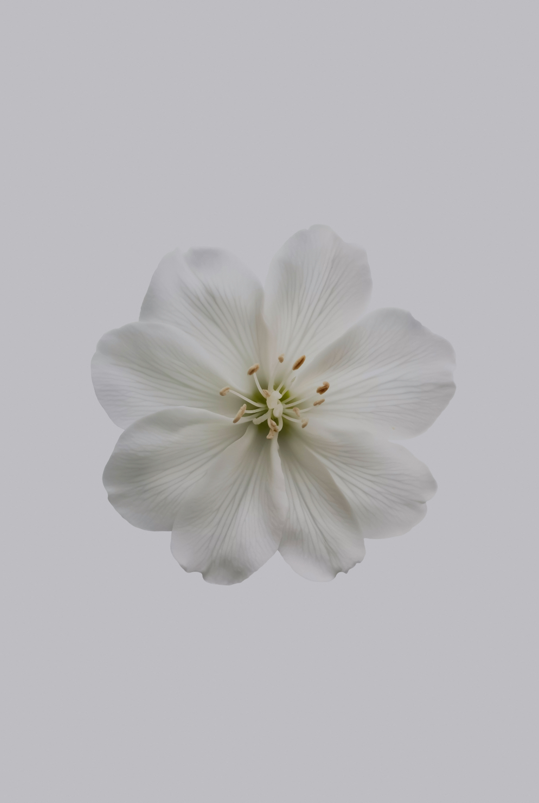 Elegant Aromatic Fresh Jasmine 180 ml Reed Diffuser