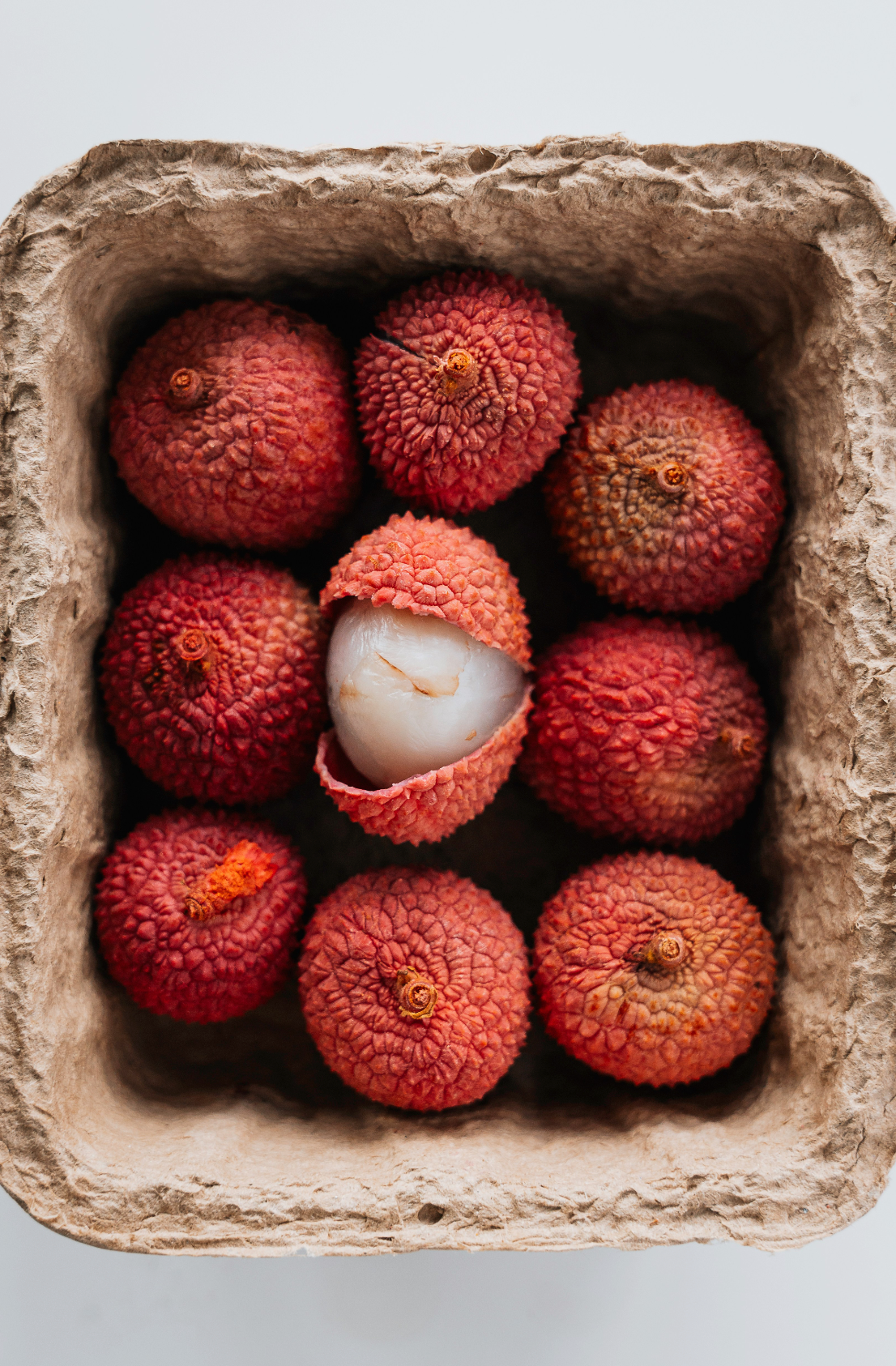 Premium Cozy Lychee & Currant 12 oz scented candle