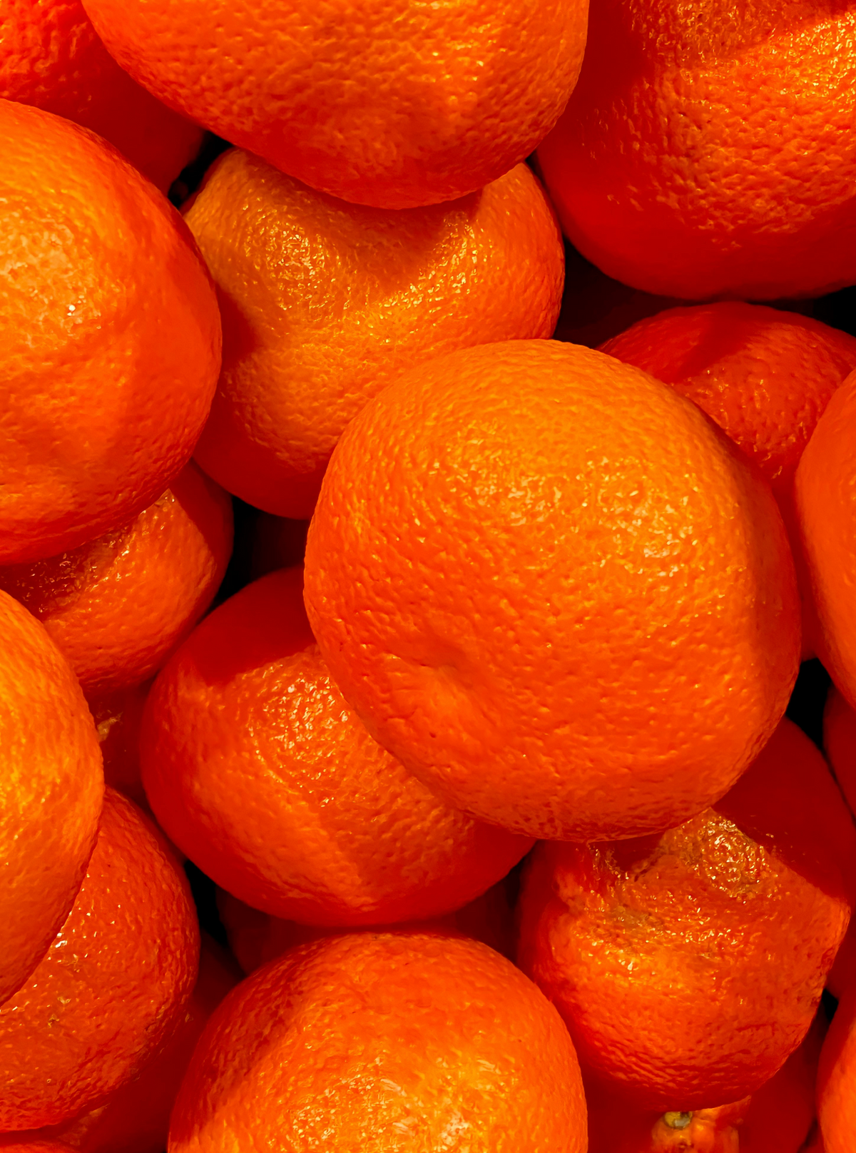 Premium Cozy Mango & Sweet Tangerine 10 oz scented candle