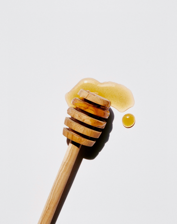 Premium Cozy Sweet Honey 10 oz scented candle