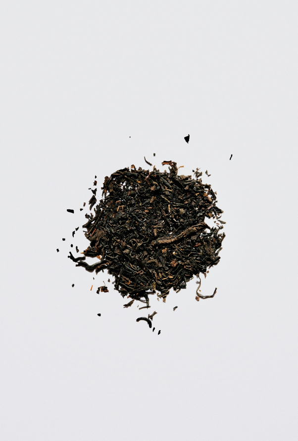 Premium Cozy Weathered Tobacco 12 oz scented candle