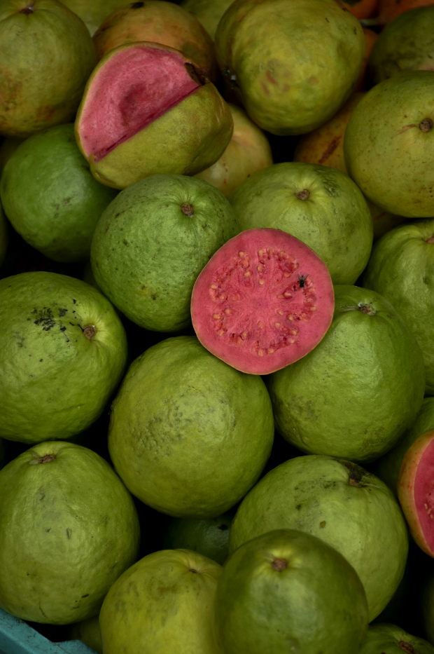 Premium Cozy Paradise Guava 12 oz scented candle