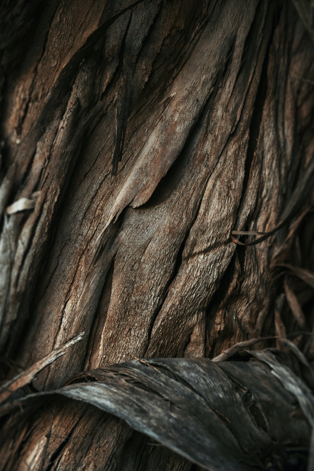 Rejuvenating Signature Vanilla Sandalwood 32 oz 2-In-1