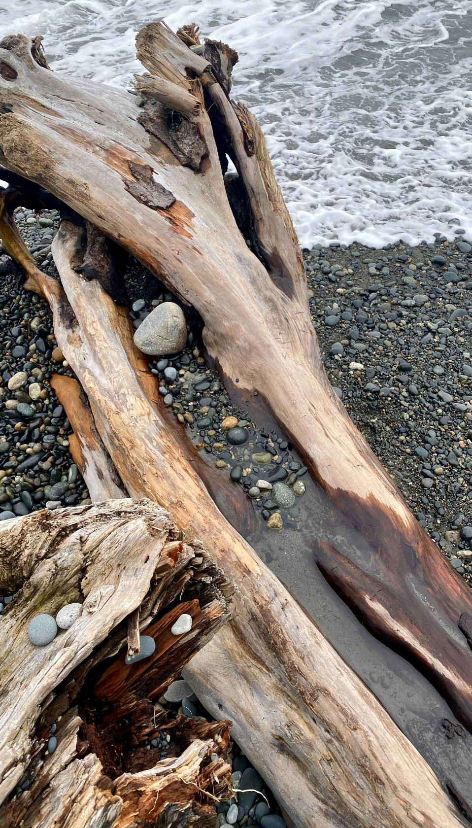 Premium Cozy Ocean & Driftwood 10 oz scented candle